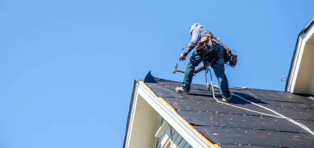 Best Metal Roofing Contractor  in Sauk Vlage, IL